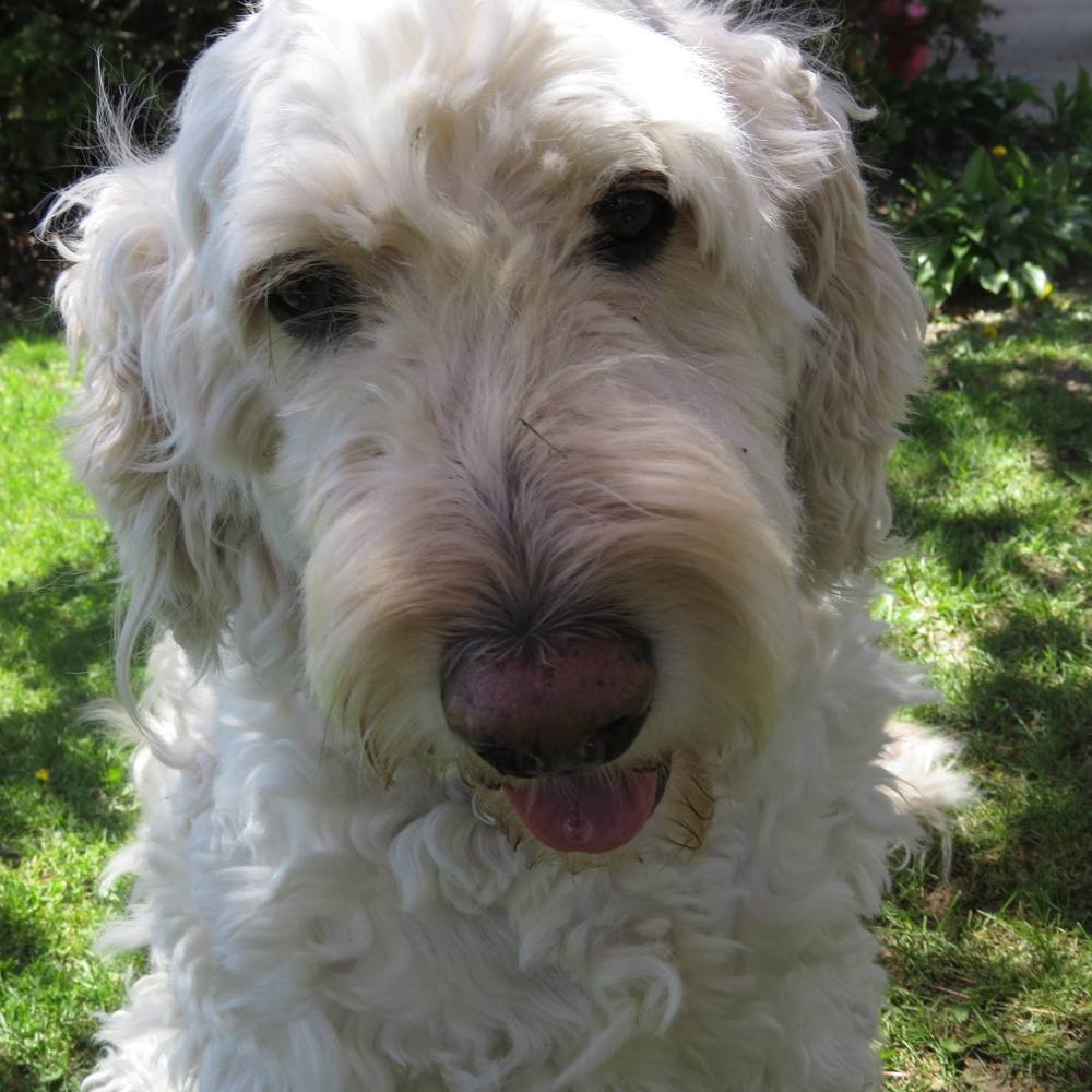 Meet your Posher, Vivian